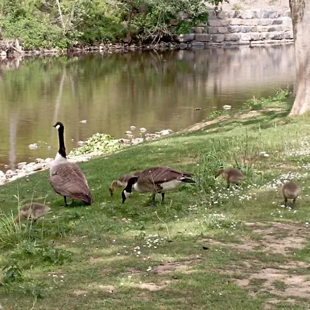 Villa La Les Pieds Dans Leau